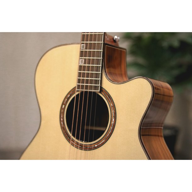 Fonzo V-201S OM Cutaway